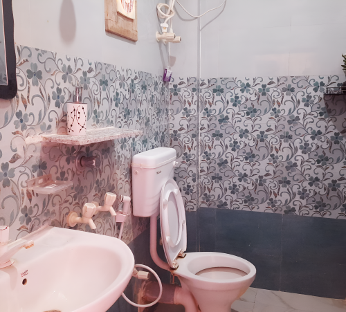 cottage_toilet